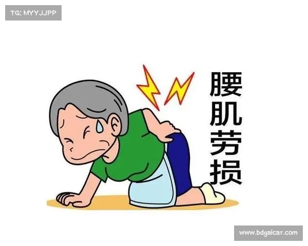 腰部组织在人体健康中的重要性与现代医学研究的进展分析 腰部组织在人体健康中的重要性与现代医学研究的进展分析