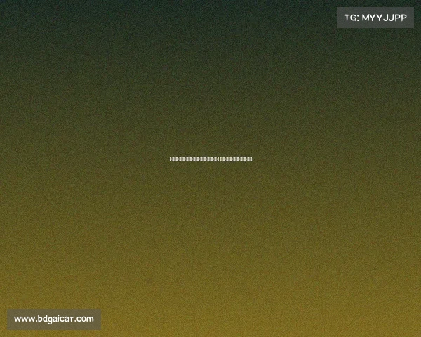 恰尔汗奥卢昨晚抵达伊斯坦布尔 今日将进行重要会晤