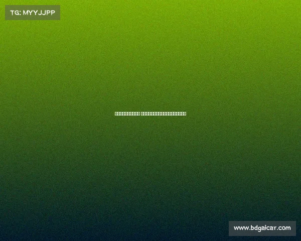 杨瀚森回国备战亚洲杯 青岛媒体见面会与球迷互动活动安排公布