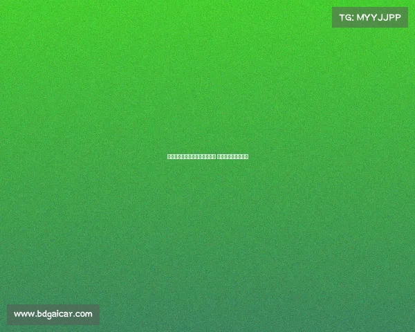 恰尔汗奥卢昨晚抵达伊斯坦布尔 今日将进行重要会晤