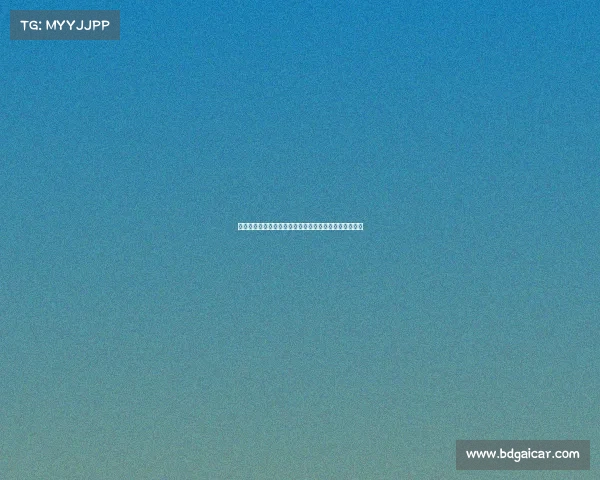 维塔尔谈球队定位球进步并表达对组织型后腰位置的偏好