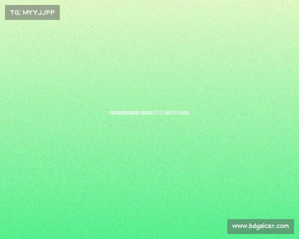 斯图加特接触法比奥维埃拉 阿森纳标价3000万至3500万欧元