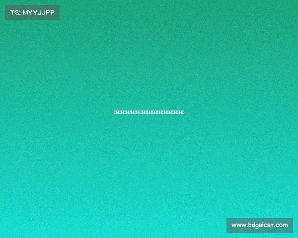 杨瀚森回国备战亚洲杯 青岛媒体见面会与球迷互动活动安排公布