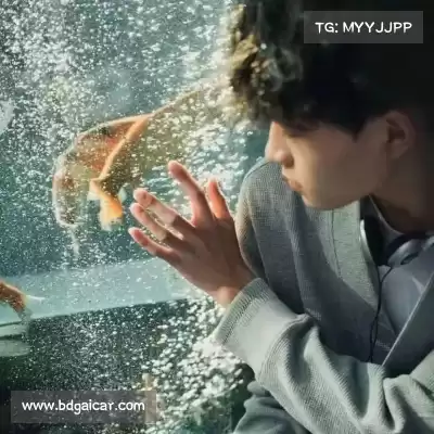 虞岑耘